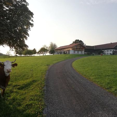 Apartament Sonnenhub Irschenberg Zewnętrze zdjęcie